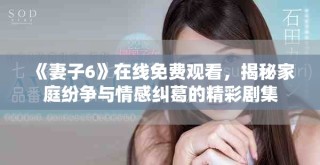 《妻子6》在線免費觀看，揭秘家庭紛爭與情感糾葛的精彩劇集