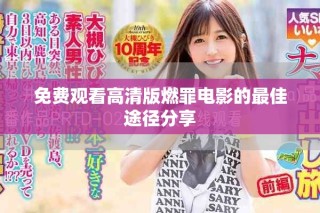 免費觀看高清版燃罪電影的最佳途徑分享