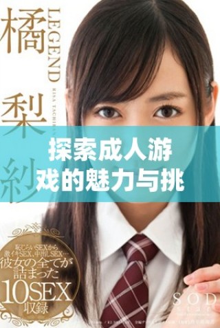 探索成人游戲的魅力與挑戰(zhàn)：18歲以上玩家的必玩推薦