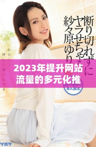 2023年提升網(wǎng)站流量的多元化推廣渠道介紹與應(yīng)用技巧