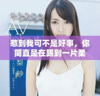 惹到我可不是好事，你簡(jiǎn)直是在踢到一片柔軟的棉花中