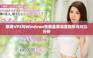 歐美VPS與Windows性能差異深度剖析與對(duì)比分析