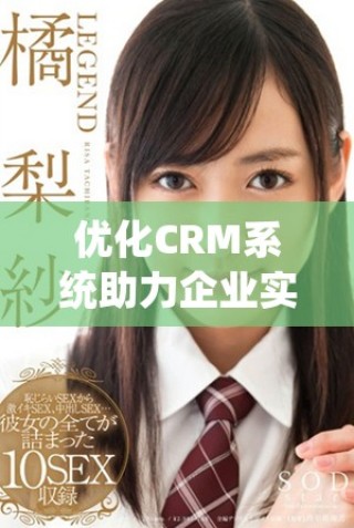 優(yōu)化CRM系統(tǒng)助力企業(yè)實現(xiàn)更高效率與客戶滿意度提升