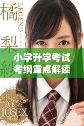 小學升學考試考綱重點解讀與知識要點概述指南