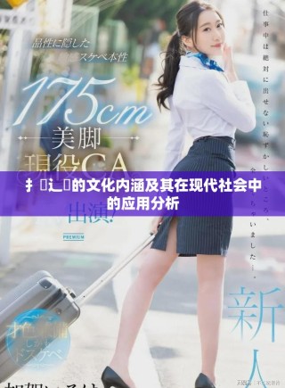 扌喿辶畐的文化內(nèi)涵及其在現(xiàn)代社會中的應用分析