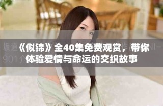 《似錦》全40集免費(fèi)觀賞，帶你體驗(yàn)愛(ài)情與命運(yùn)的交織故事