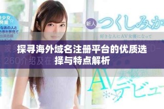 探尋海外域名注冊(cè)平臺(tái)的優(yōu)質(zhì)選擇與特點(diǎn)解析