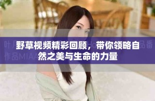 野草視頻精彩回顧，帶你領(lǐng)略自然之美與生命的力量