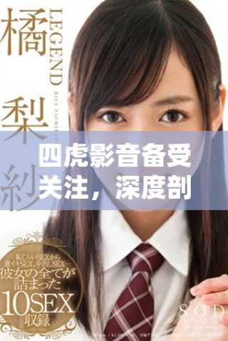 四虎影音備受關(guān)注，深度剖析其影響力與未來發(fā)展方向