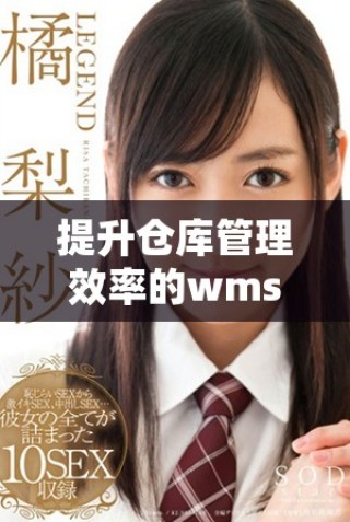 提升倉(cāng)庫(kù)管理效率的wms倉(cāng)庫(kù)管理軟件全面解析與應(yīng)用探討