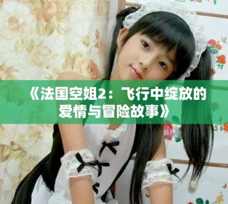 《法國(guó)空姐2：飛行中綻放的愛情與冒險(xiǎn)故事》
