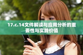17.c.14文件解讀與應用分析的重要性與實踐價值
