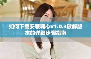 如何下載安裝糖心v1.0.3破解版本的詳細(xì)步驟指南