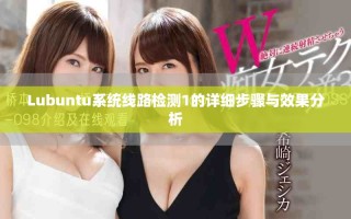 Lubuntu系統(tǒng)線路檢測(cè)1的詳細(xì)步驟與效果分析
