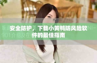 安全防護(hù)，下載小黃鴨防風(fēng)險(xiǎn)軟件的最佳指南