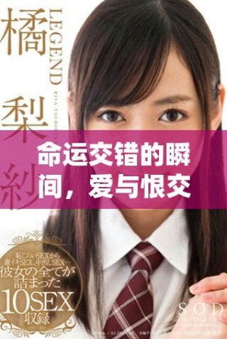 命運(yùn)交錯(cuò)的瞬間，愛與恨交織的成長(zhǎng)之路