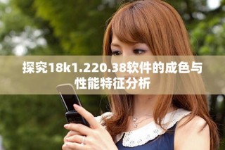 探究18k1.220.38軟件的成色與性能特征分析