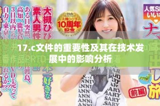 17.c文件的重要性及其在技術(shù)發(fā)展中的影響分析