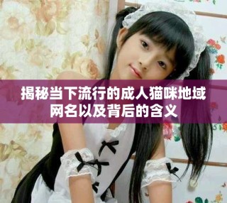 揭秘當下流行的成人貓咪地域網(wǎng)名以及背后的含義