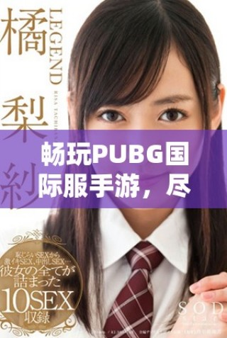暢玩PUBG國際服手游，盡享刺激戰(zhàn)斗體驗下載指南