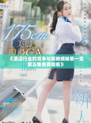 《酒店行業(yè)的競爭與策略揭秘第一至第五集免費觀看》