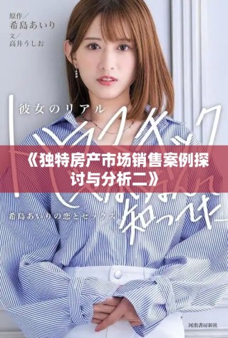 《獨(dú)特房產(chǎn)市場銷售案例探討與分析二》