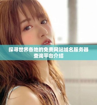 探尋世界各地的免費網(wǎng)站域名服務(wù)器查詢平臺介紹