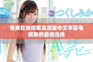 免費(fèi)在線觀看高質(zhì)量中文字幕電視劇的最佳選擇