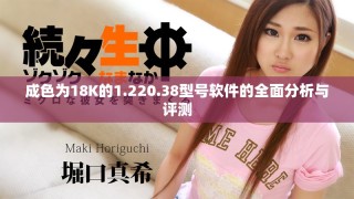 成色為18K的1.220.38型號軟件的全面分析與評測