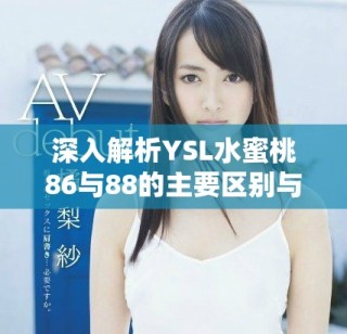 深入解析YSL水蜜桃86與88的主要區(qū)別與使用體驗(yàn)
