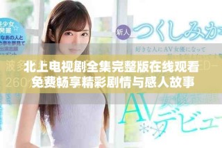 北上電視劇全集完整版在線觀看 免費(fèi)暢享精彩劇情與感人故事