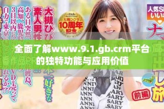 全面了解www.9.1.gb.crm平臺的獨特功能與應用價值