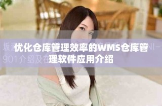 優(yōu)化倉庫管理效率的WMS倉庫管理軟件應(yīng)用介紹