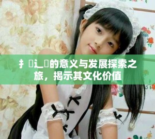 扌喿辶畐的意義與發(fā)展探索之旅，揭示其文化價(jià)值