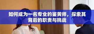 如何成為一名專業(yè)的鑒黃師，探索其背后的職責與挑戰(zhàn)