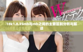 18k1.8.35mb與mb之間的主要區(qū)別分析與解讀