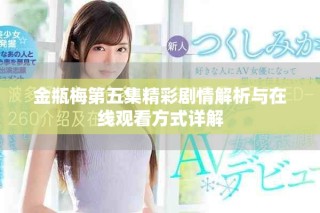 金瓶梅第五集精彩劇情解析與在線觀看方式詳解