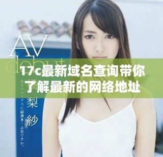17c最新域名查詢帶你了解最新的網(wǎng)絡(luò)地址信息