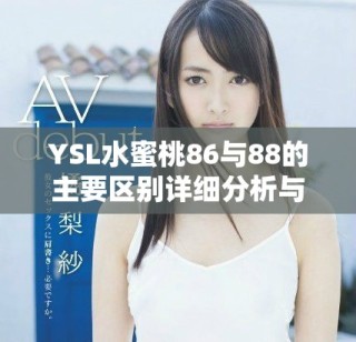 YSL水蜜桃86與88的主要區(qū)別詳細分析與推薦