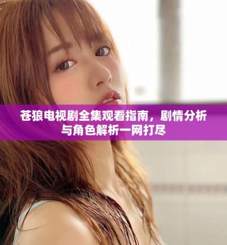 蒼狼電視劇全集觀看指南，劇情分析與角色解析一網(wǎng)打盡