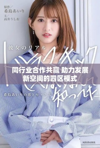 同行業(yè)合作共贏 助力發(fā)展新空間的四區(qū)模式