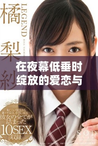 在夜幕低垂時綻放的愛戀與秘密情愫的故事探索