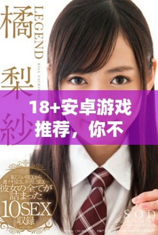 18+安卓游戲推薦，你不可錯過的經(jīng)典之作與精彩體驗