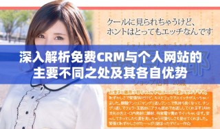 深入解析免費(fèi)CRM與個(gè)人網(wǎng)站的主要不同之處及其各自優(yōu)勢(shì)