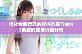 優(yōu)化倉庫管理的軟件選擇與WMS系統(tǒng)的應(yīng)用價值分析