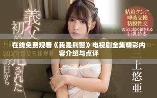 在線免費觀看《我是刑警》電視劇全集精彩內(nèi)容介紹與點評