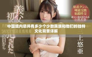 中國境內(nèi)總共有多少個少數(shù)民族和他們的獨特文化背景詳解