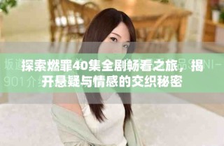 探索燃罪40集全劇暢看之旅，揭開(kāi)懸疑與情感的交織秘密