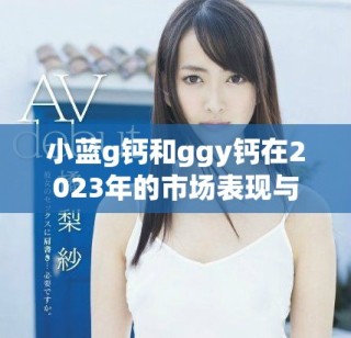 小藍(lán)g鈣和ggy鈣在2023年的市場(chǎng)表現(xiàn)與發(fā)展趨勢(shì)分析
