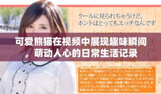 可愛熊貓在視頻中展現(xiàn)趣味瞬間，萌動人心的日常生活記錄